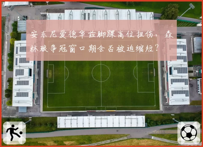 安东尼爱德华兹脚踝高位扭伤,森林狼争冠窗口期会否被迫缩短?